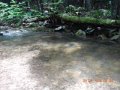 fowlers hollow.Laural run 06-09-14 048